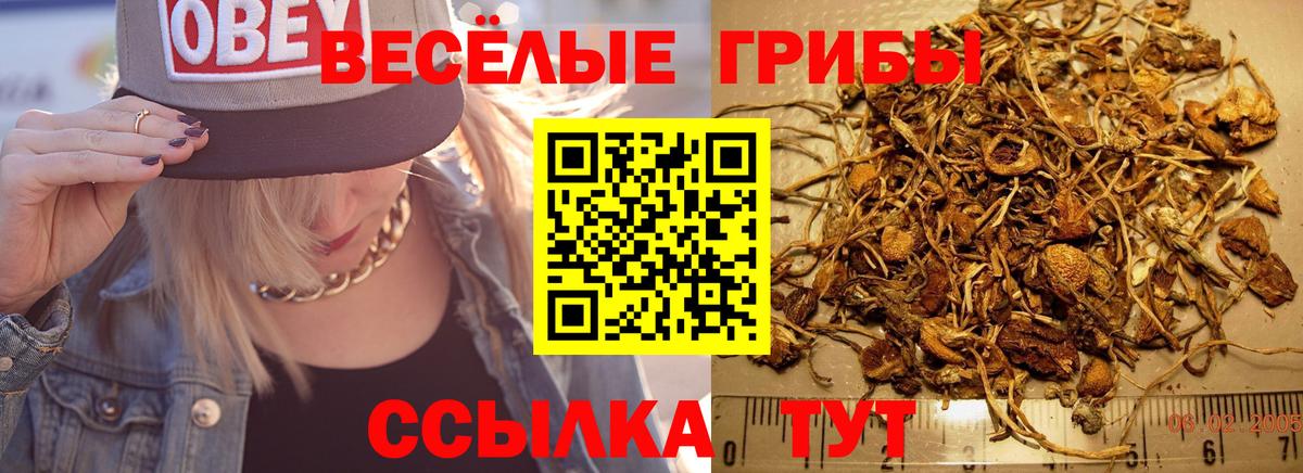 Галлюциногенные грибы Magic Shrooms  как найти закладки  Щёкино  Вход с VPN 