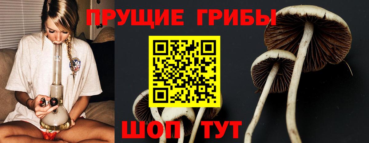 Псилоцибиновые грибы MAGIC MUSHROOMS Щёкино